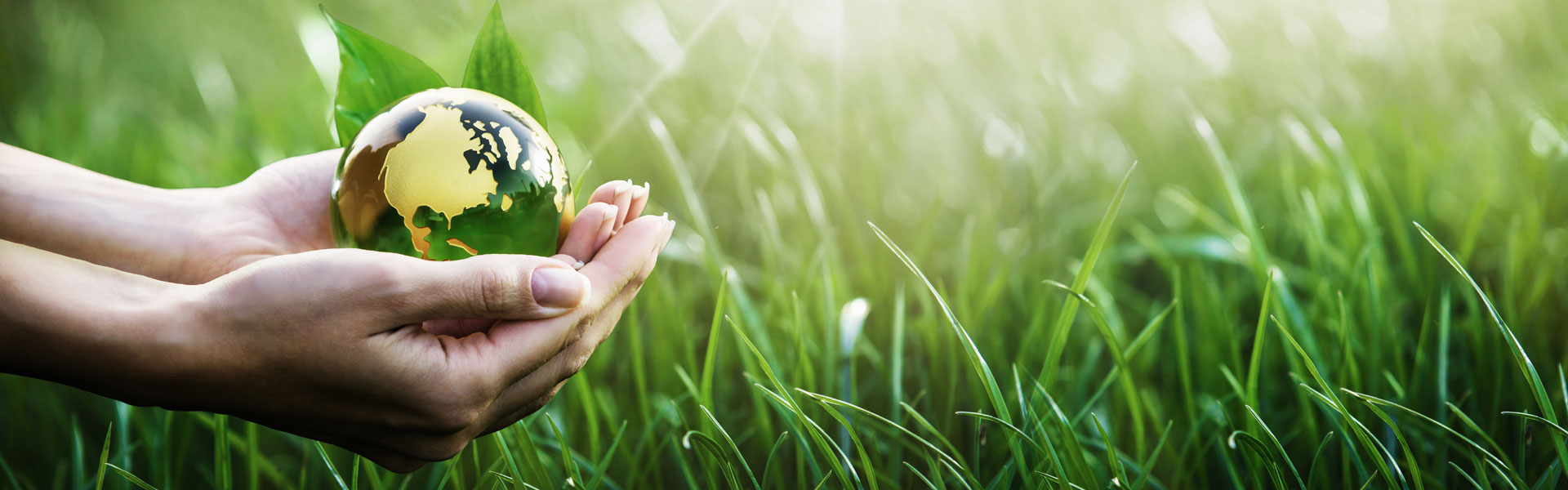 ARLANXEO_Responsibility_Environment_Header_1920x600.jpg Image